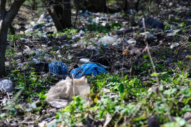 Єднання, праця та куліш: у селі під Луцьком організували толоку. ФОТО