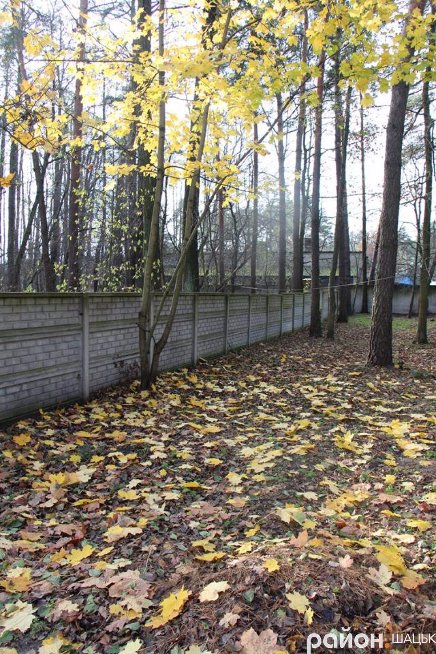 Золота осінь у санаторії «Лісова пісня». ФОТО