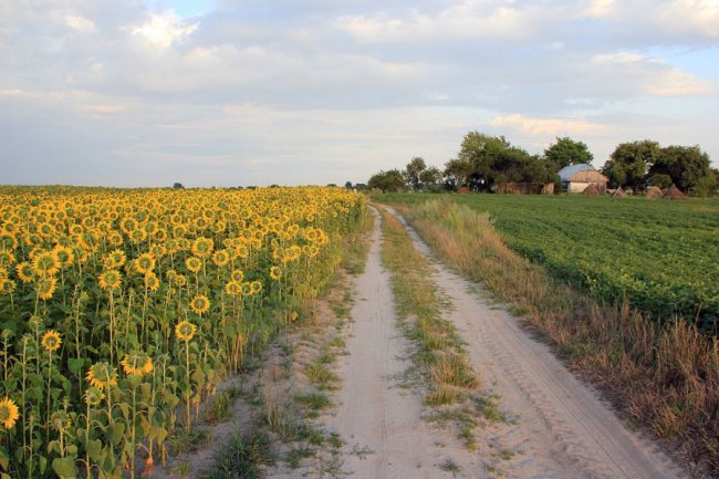 Мальовнича та неповторна природа волинського села. ФОТО
