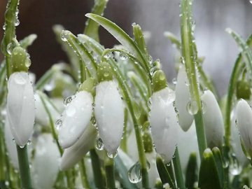 Погода в Луцьку та Волинській області на завтра, 12 березня