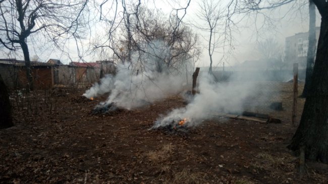 Волинянку змусили погасити незаконно підпалене вогнище. ФОТО