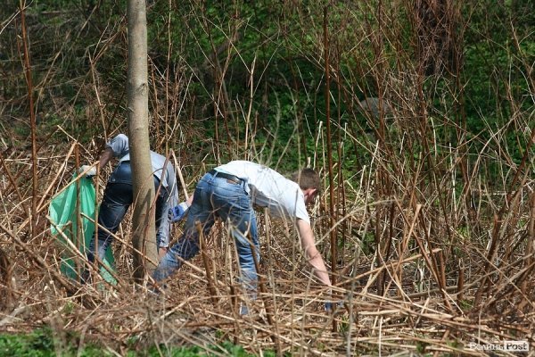 Луцьк прибирали від сміття. ФОТО