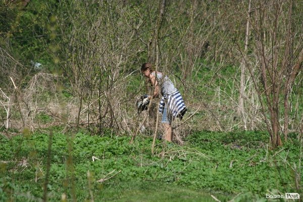 Луцьк прибирали від сміття. ФОТО