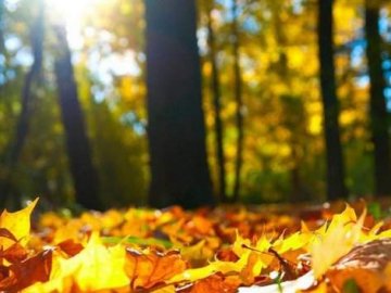 Погода в Луцьку та Волинській області на суботу, 11 вересня