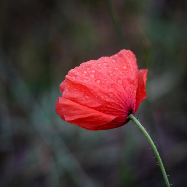 Неймовірні краєвиди природи на знімках волинської волонтерки