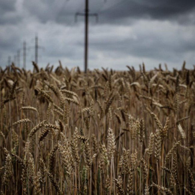 Неймовірні краєвиди природи на знімках волинської волонтерки