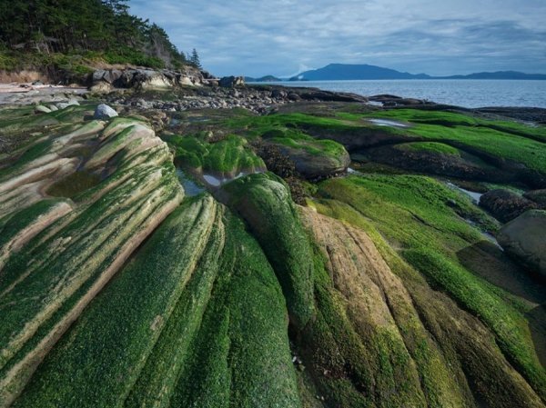 Священна земля, США. Автор: Майкл Мелфорд