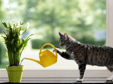 Погода в Луцьку та Волинській області на середу, 13 березня