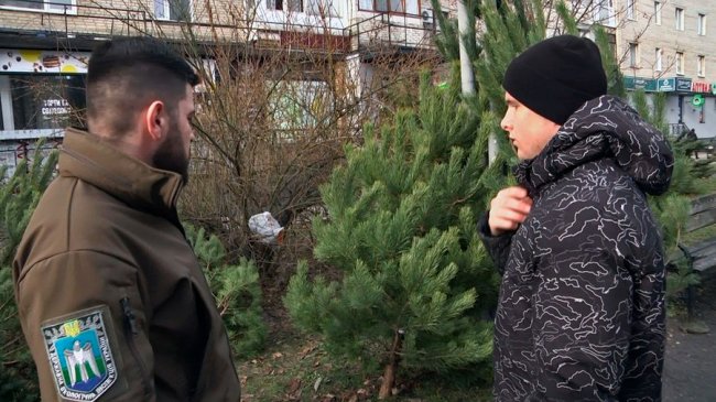 У Луцьку перевірили законність продажу ялинок, знайшли порушення. ФОТО, ВІДЕО