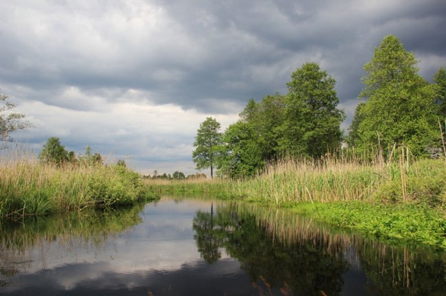 Наче Амазонка: як після дощів розлилася волинська річка. ФОТО