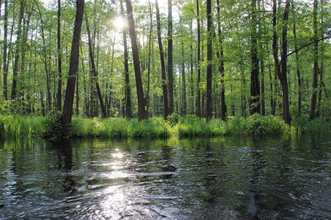 Наче Амазонка: як після дощів розлилася волинська річка. ФОТО