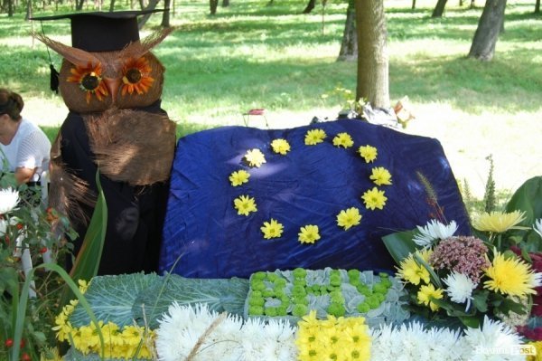 У День міста в Луцьку відбулося свято квітів. ФОТО