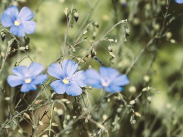 Погода в Луцьку та Волинській області на вихідні, 8 і 9 серпня