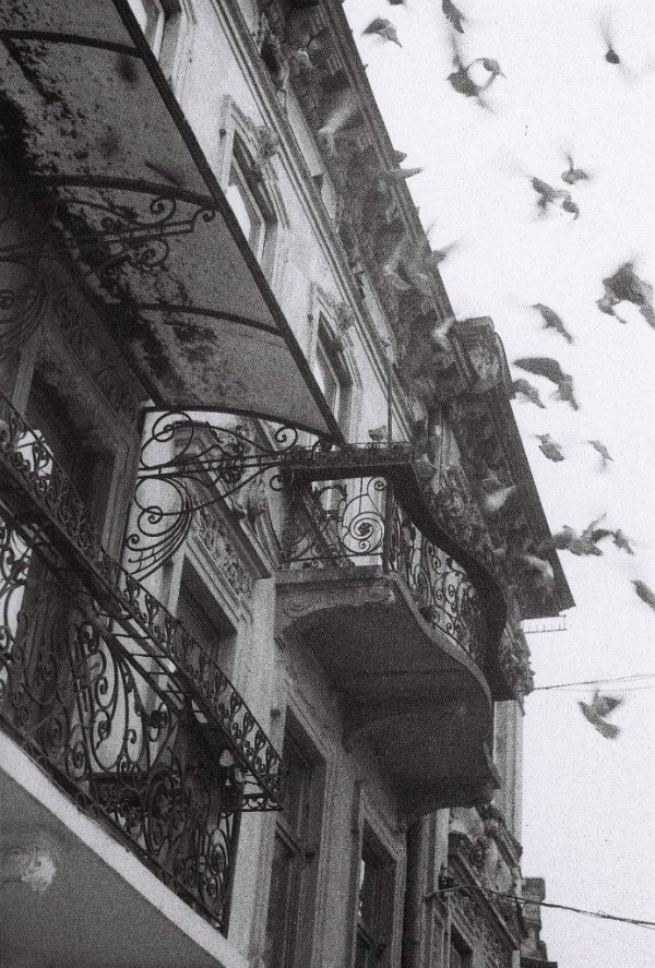 Фотовиставка Юлії Ткаченко