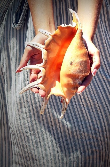 Фотовиставка Катерини Мазурець