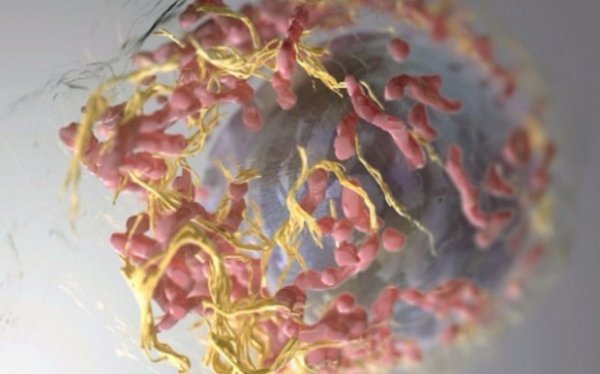 Загадки, на які ми не знаємо відповідей, або як мало ми знаємо про наш світ. ФОТО