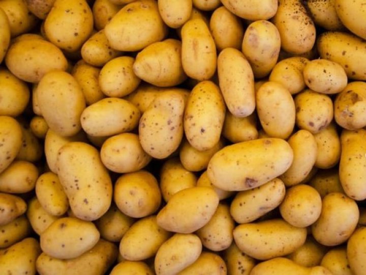 Через спеку Волинь може недоотримати до 40% урожаю картоплі