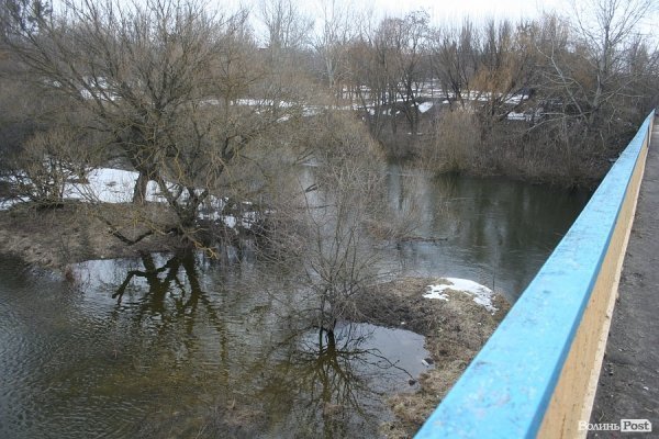 Затопило луг біля села Рованці. ФОТО