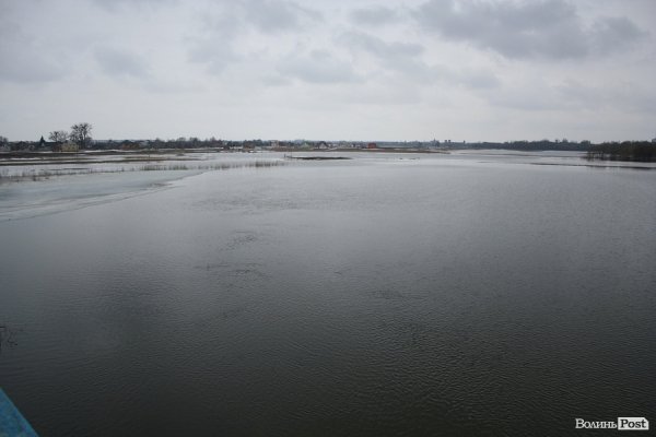 Затопило луг біля села Рованці. ФОТО