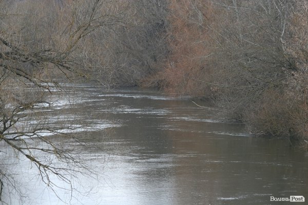 Затопило луг біля села Рованці. ФОТО