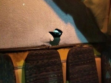 На Волині невідомий каменем розбив скло маршрутки. ФОТО