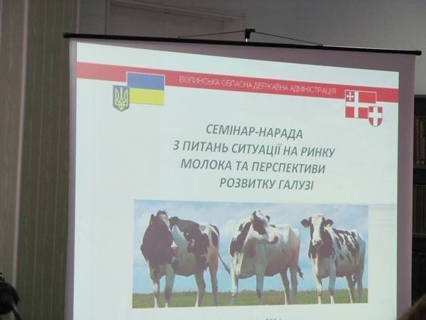 Коли європейці будуть вживати волинське молоко 