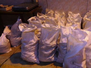 У Польщі на кордоні, що межує з Волинню, виявили рекордну кількість бурштину