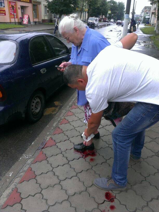 На Волині бродячі собаки покусали жінку