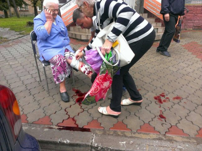 На Волині бродячі собаки покусали жінку