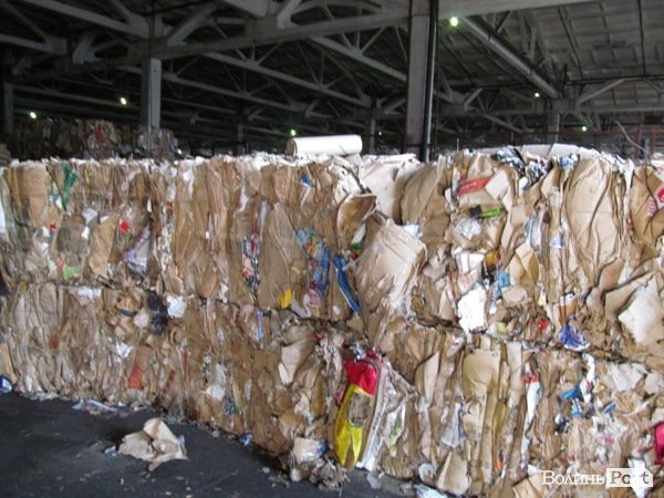 «Ми повинні довести, що без Росії ми проживемо», - Ганна Гопко в Луцьку. ФОТО*