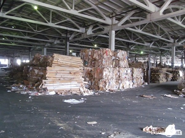 «Ми повинні довести, що без Росії ми проживемо», - Ганна Гопко в Луцьку. ФОТО*