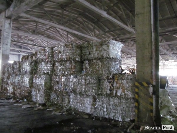 «Ми повинні довести, що без Росії ми проживемо», - Ганна Гопко в Луцьку. ФОТО*