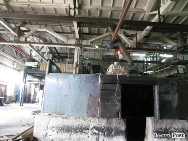 «Ми повинні довести, що без Росії ми проживемо», - Ганна Гопко в Луцьку. ФОТО*