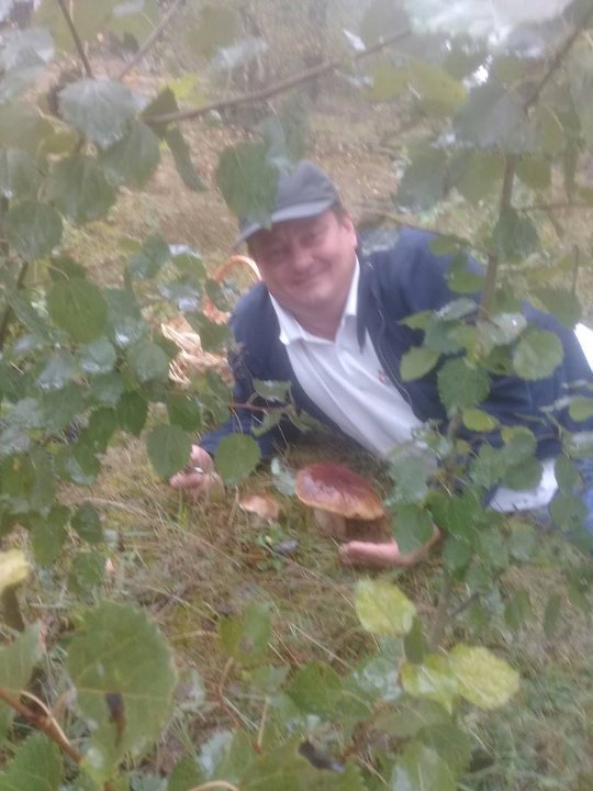 Заступник голови Волинської облради назбирав декілька кошиків грибочків. ФОТО