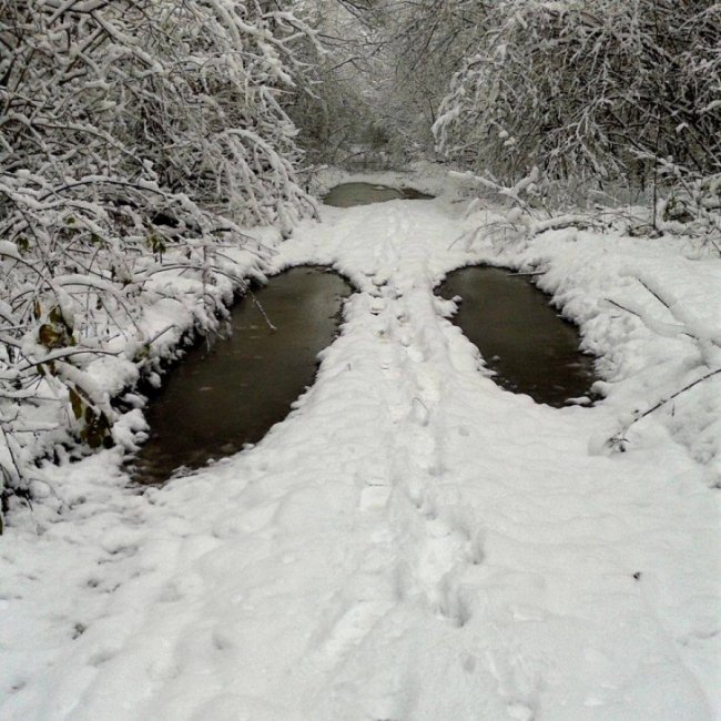 Краса волинської зими. ФОТО