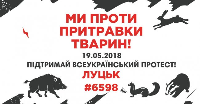 Куди піти у вихідні в Луцьку: 18-19 травня