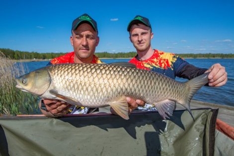 Величезна риба і фотосесія: на Волині – чемпіонат східної Європи зі спортивної ловлі коропа