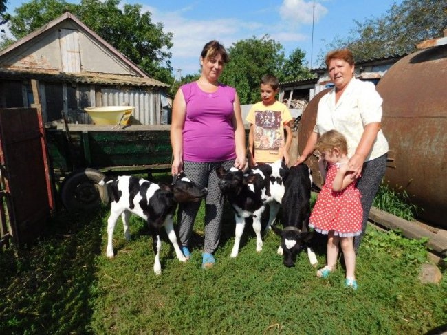 Теля на Волині назвали на честь дружини Трампа