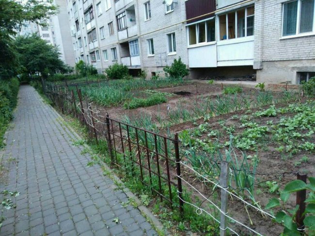 Муніципали забрали обмежувачі руху з двору у Луцьку. ФОТО