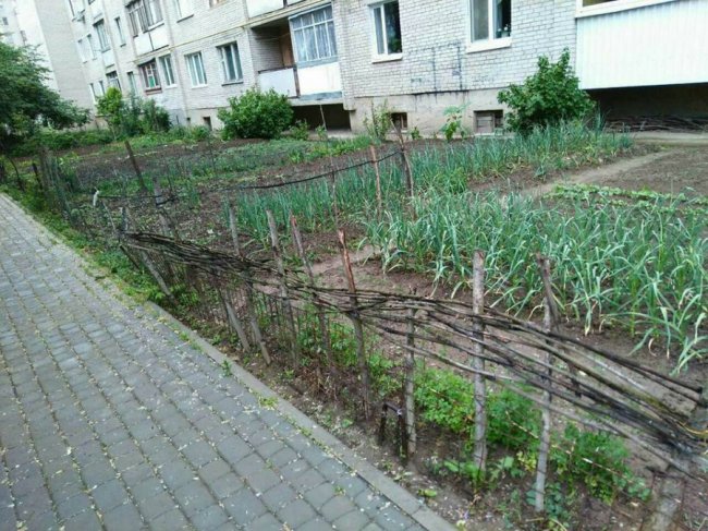 Муніципали забрали обмежувачі руху з двору у Луцьку. ФОТО