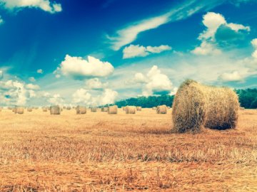 Якою буде погода у Луцьку та на Волині загалом завтра, 3 серпня 