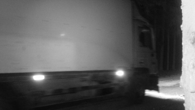 На Волині знайшли порушників, які незаконно вирубували ліс