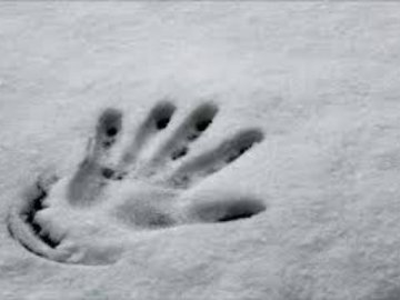 На Волині у полі знайшли тіло  жінки