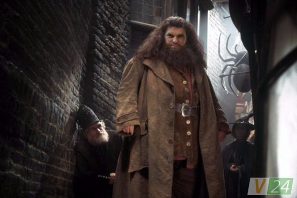 Відомих волинян «перевдягнули» в героїв Гаррі Поттера. ФОТО