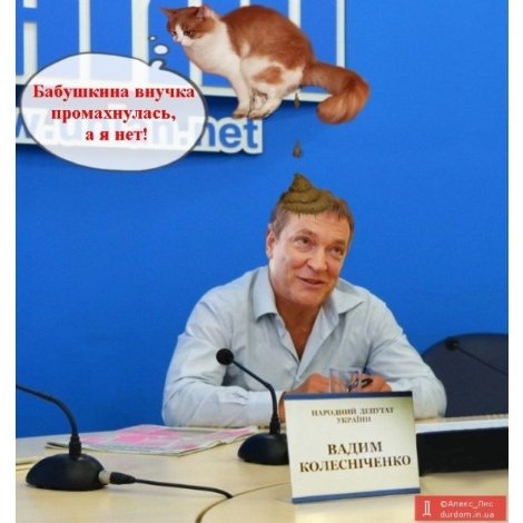 Колесніченко і лайно: інтернет жартує. ФОТО