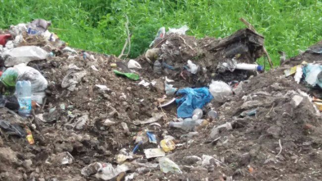 Людська  «гуманність»: на волинське сміттєзвалище викинули корову