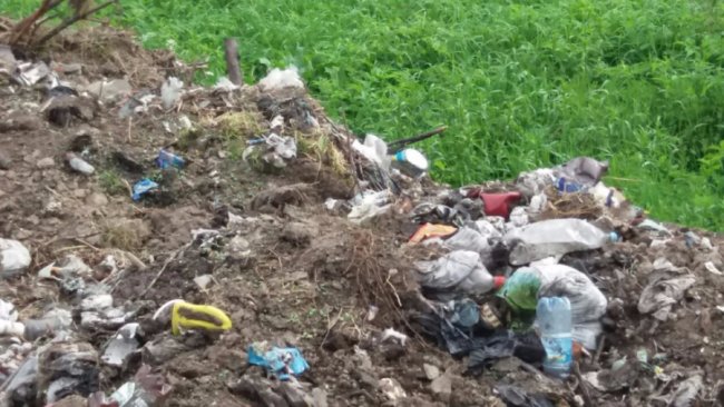 Людська  «гуманність»: на волинське сміттєзвалище викинули корову