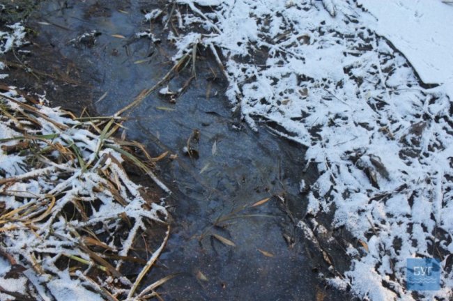 Показали, як на Волині відновлюють русло річки. ФОТО