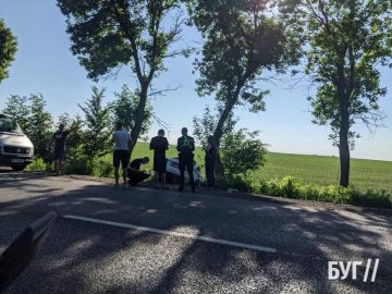 На Волині Audi злетів з дороги у кювет