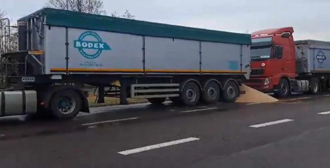 Польські фермери-протестувальники висипали українське зерно з фур на дорогу: реакція соцмереж